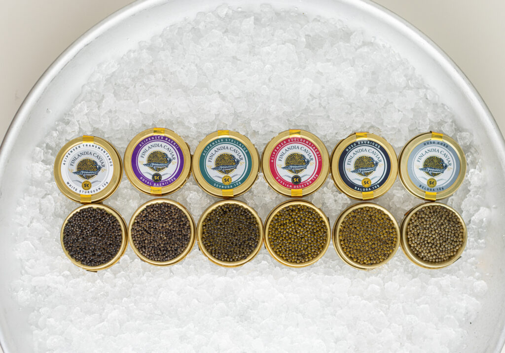 Miksi kaviaari maksaa niin paljon? Asiantuntija selittää hinnan syyt Eri kaviaarilajeja