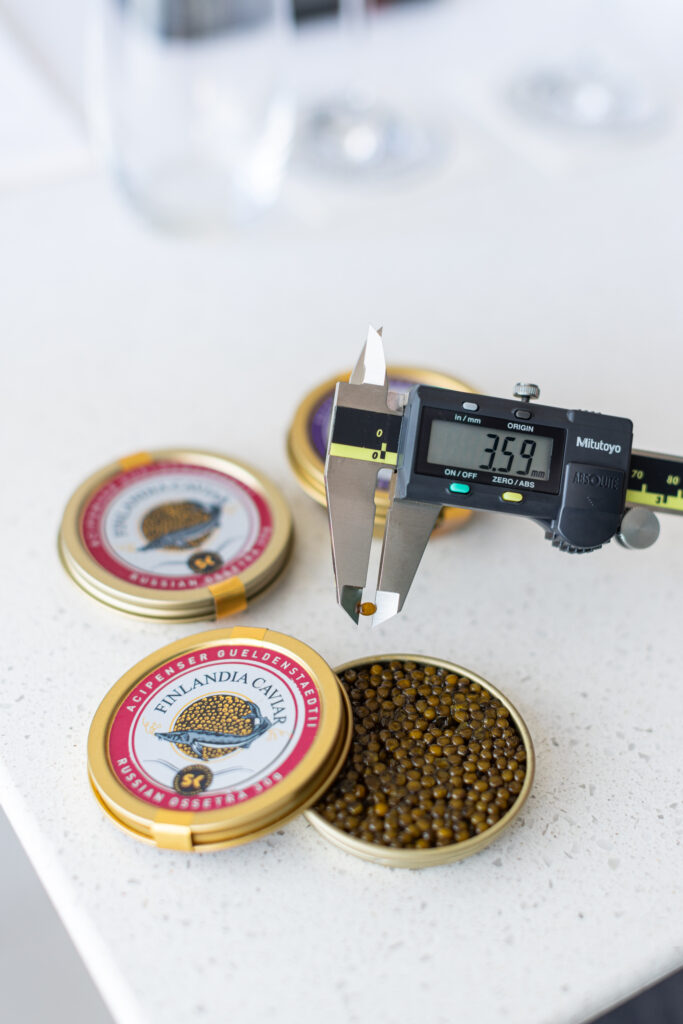 Miksi kaviaari maksaa niin paljon? Asiantuntija selittää hinnan syyt Kaviaari tarkistetaan työntömitalla